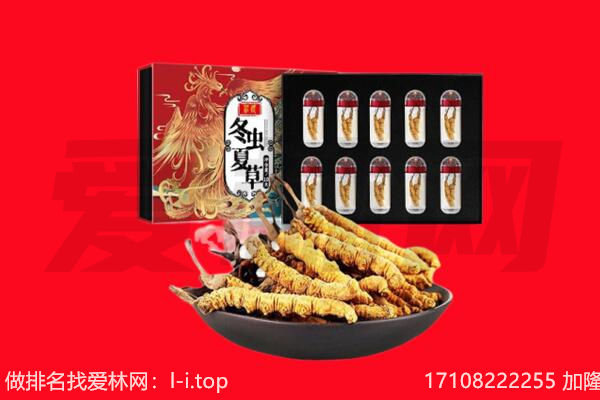 阜阳市阜南回收虫草.jpg